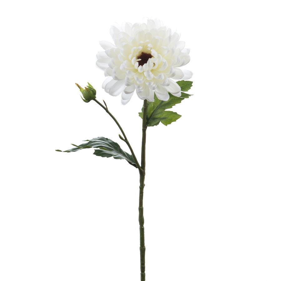 Chrysanthemum Vivace White Stem - 56cm