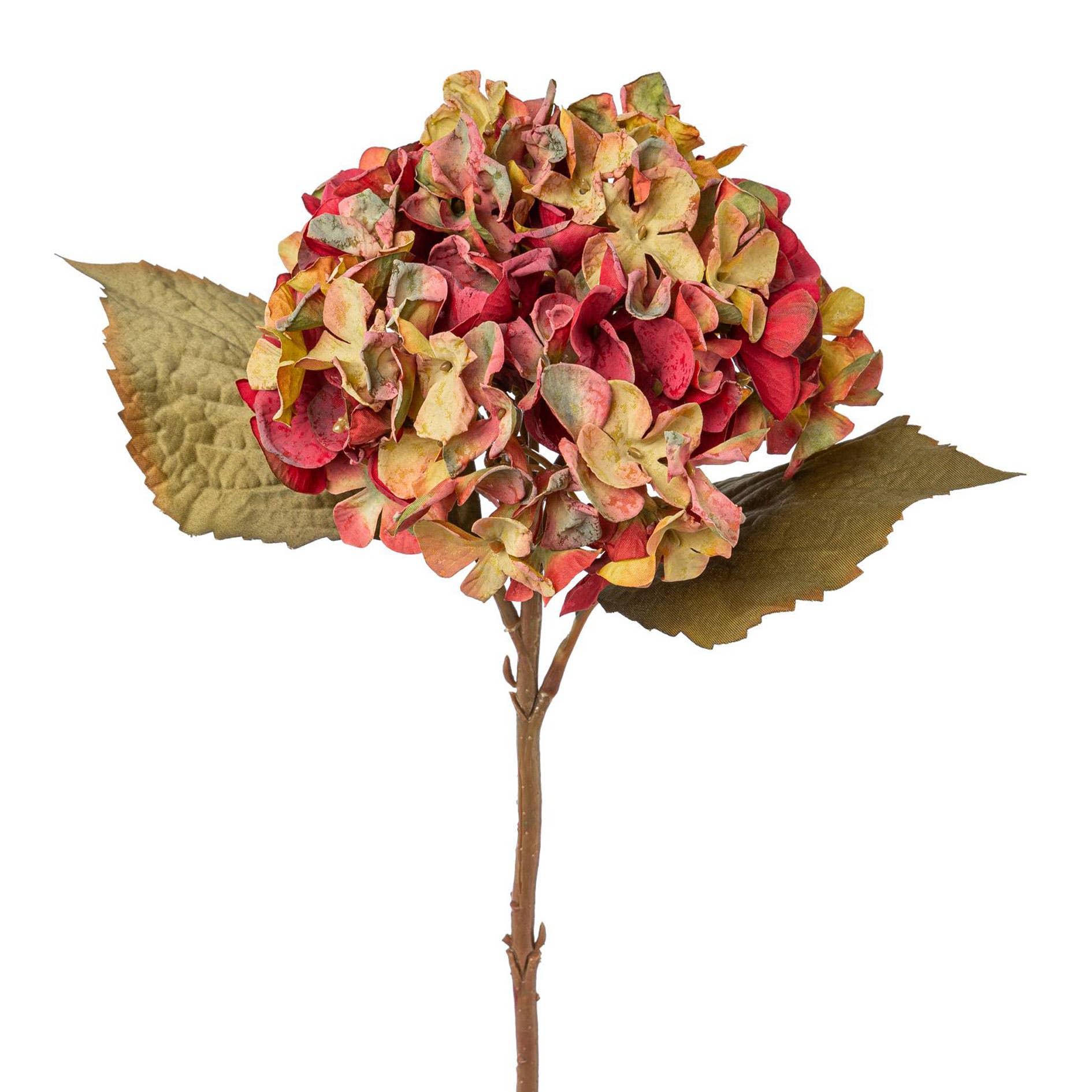 Colorful Hydrangea 46cm - LUXONAS