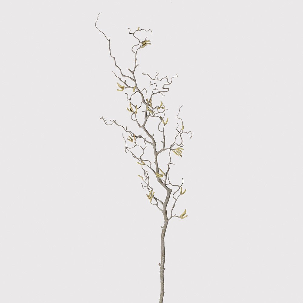 Contorted Willow Branch with Catkins - Natural Decor - LUXONAS