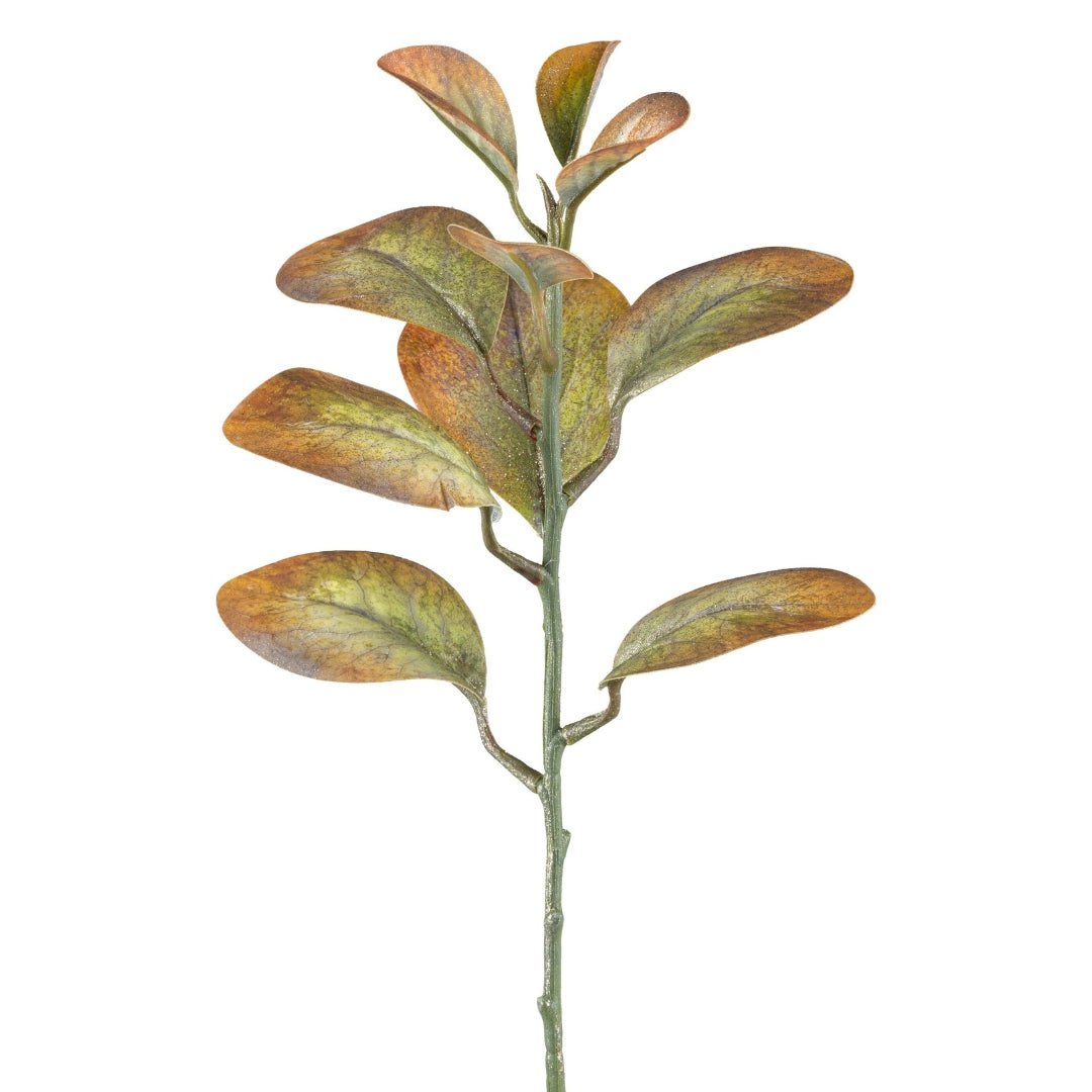 Cotinus weath 32cm - LUXONAS