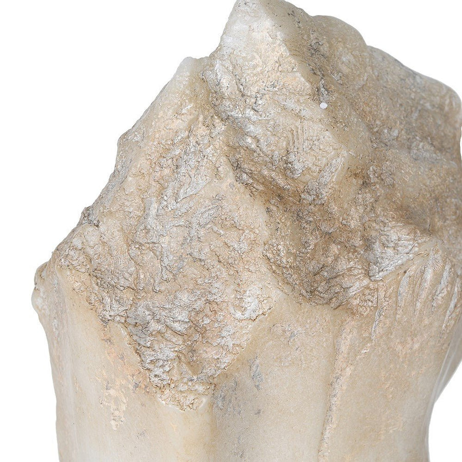 Cream Horse Head On Plinth - Elegant Resin Sculpture