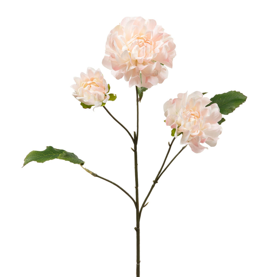 Dahlia Linda Blush Stem - 64cm