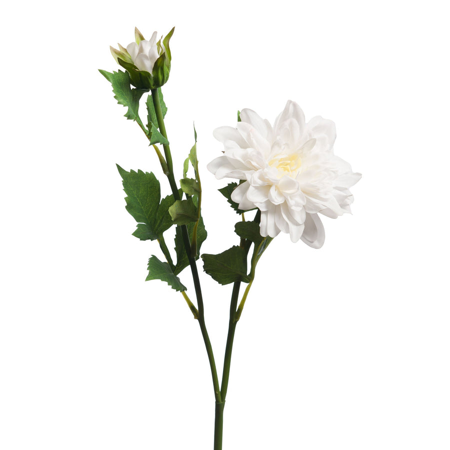 Dahlia Real Touch White Stem - 72cm