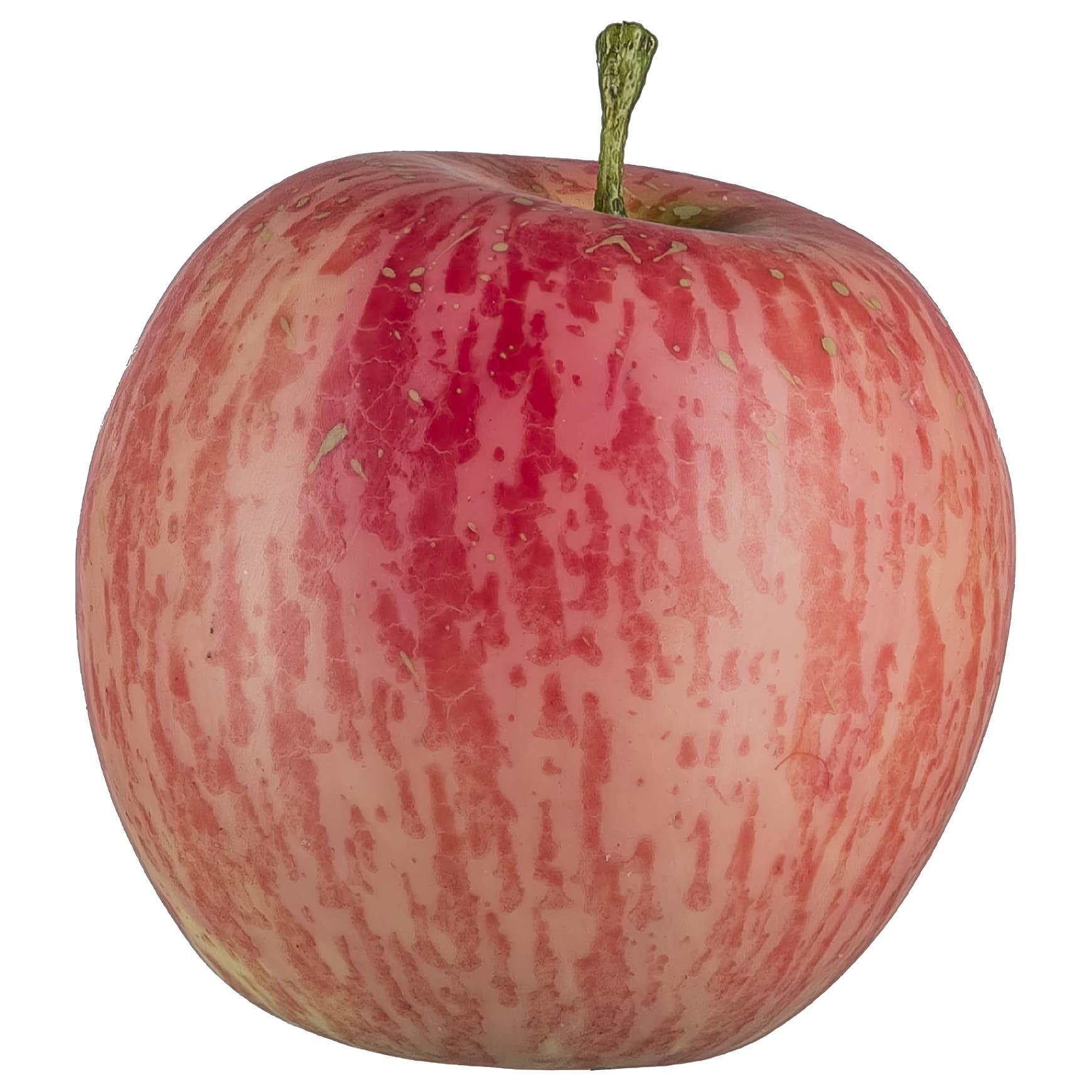Decorative Apple - LUXONAS