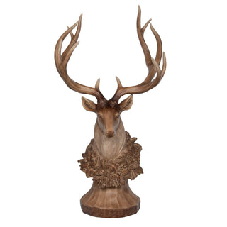 Deer Trophy in Natural