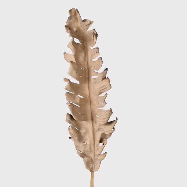 Dried Banana Leaf