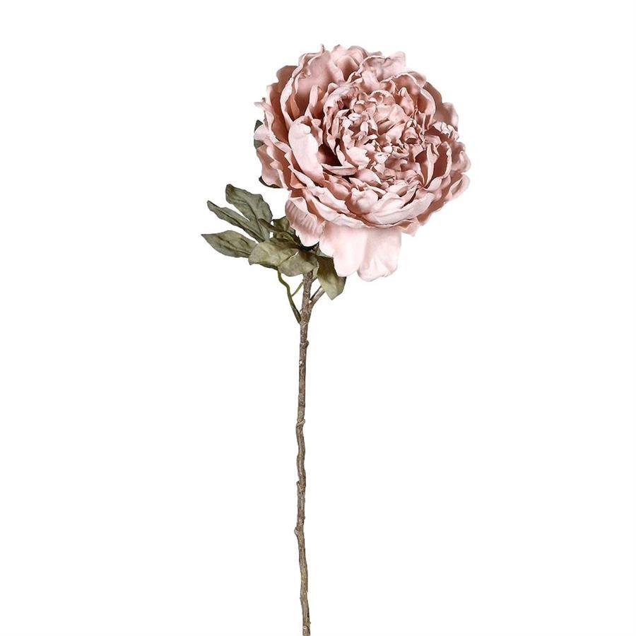 Dusty Pink Peony w/Leaves - LUXONAS