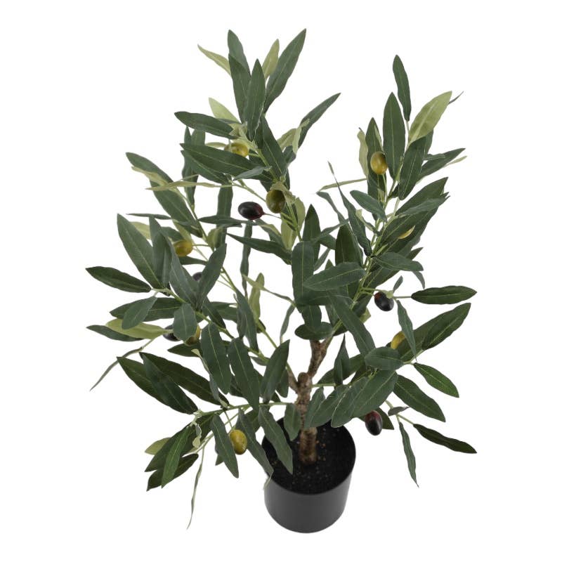 64 cm olive tree with green pot
