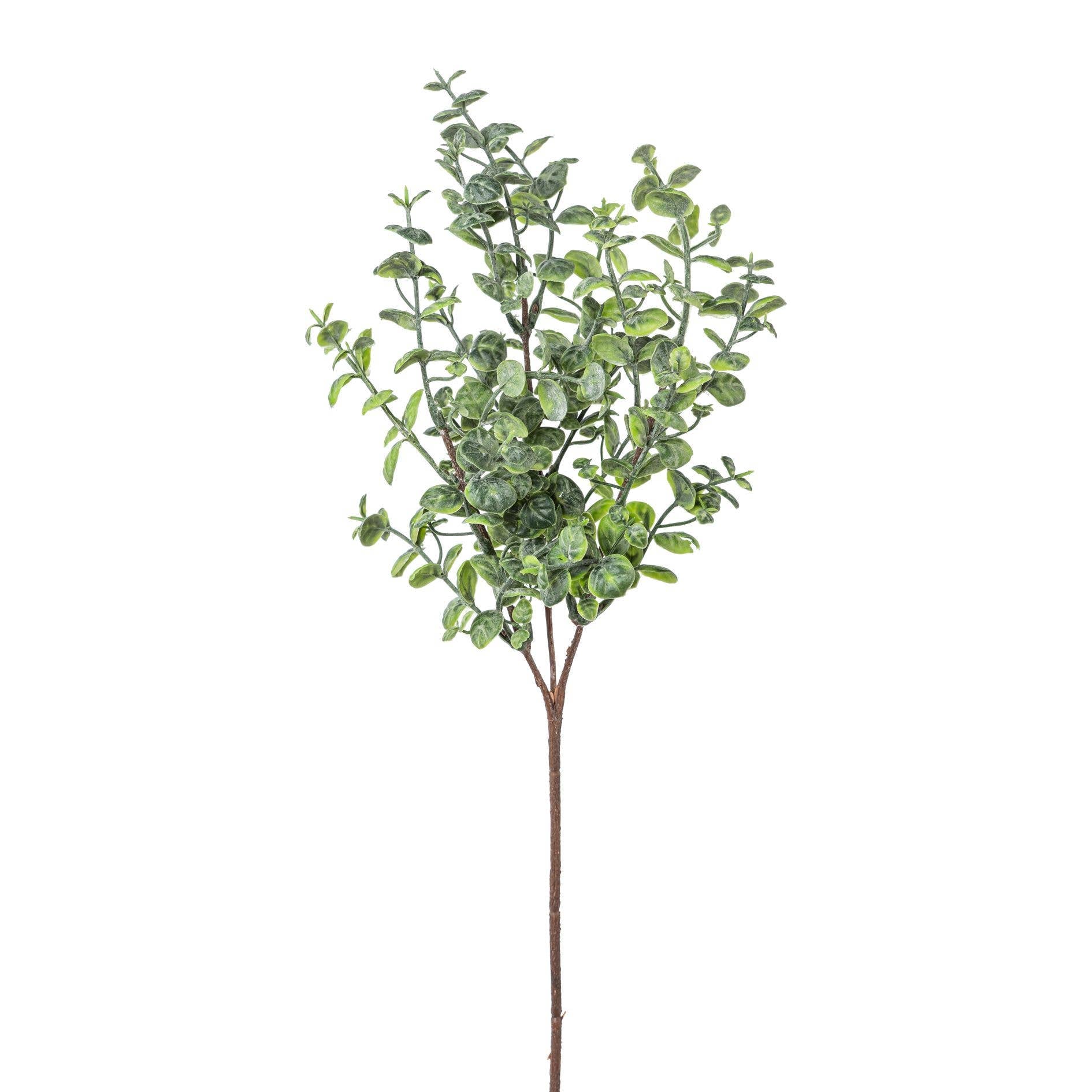 Eucalyptus Branch 46 cm - LUXONAS