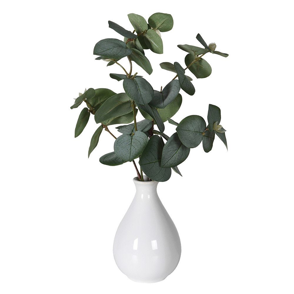 Eucalyptus Arrangement in White Ceramic Vase