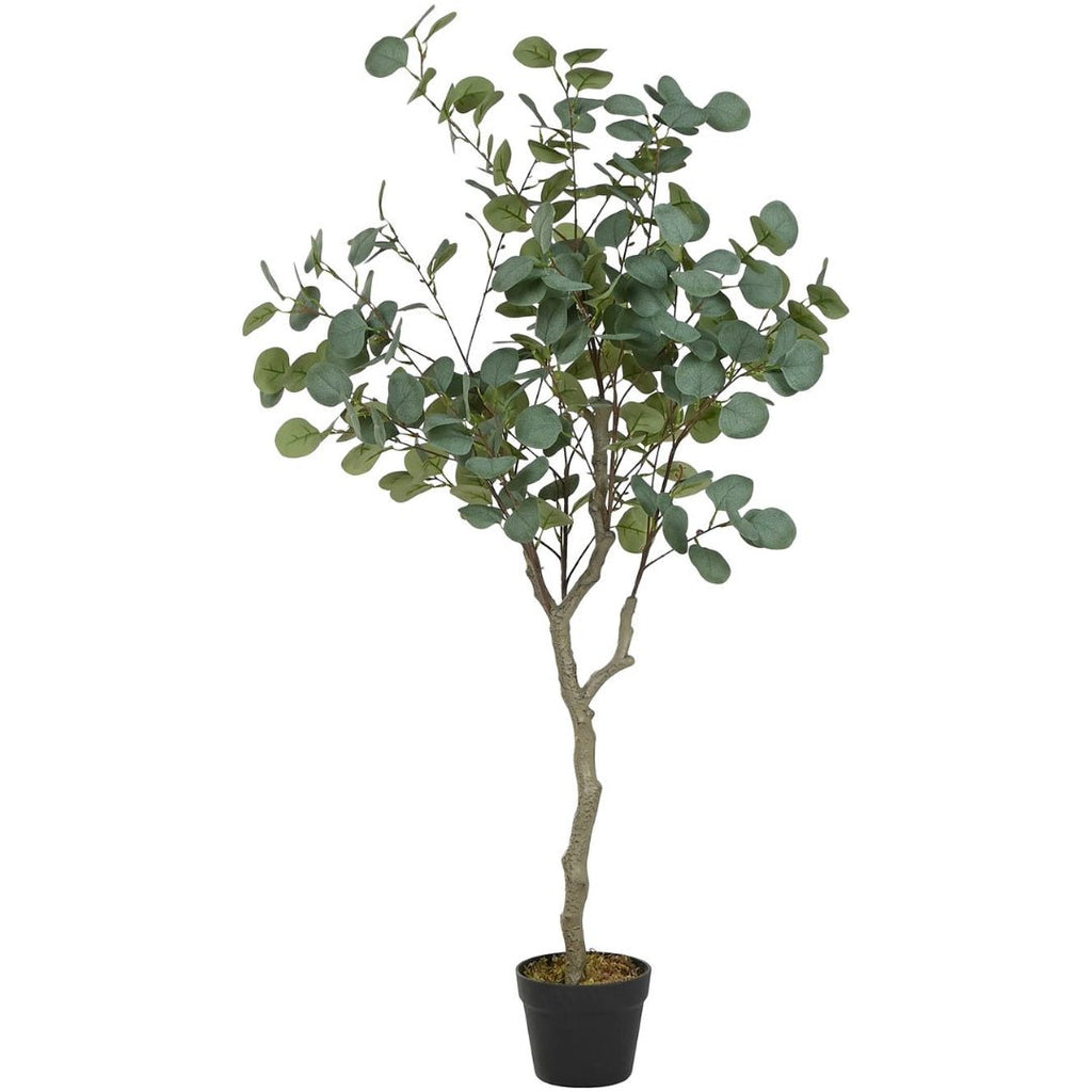 Eucalyptus Plant 150cm - LUXONAS