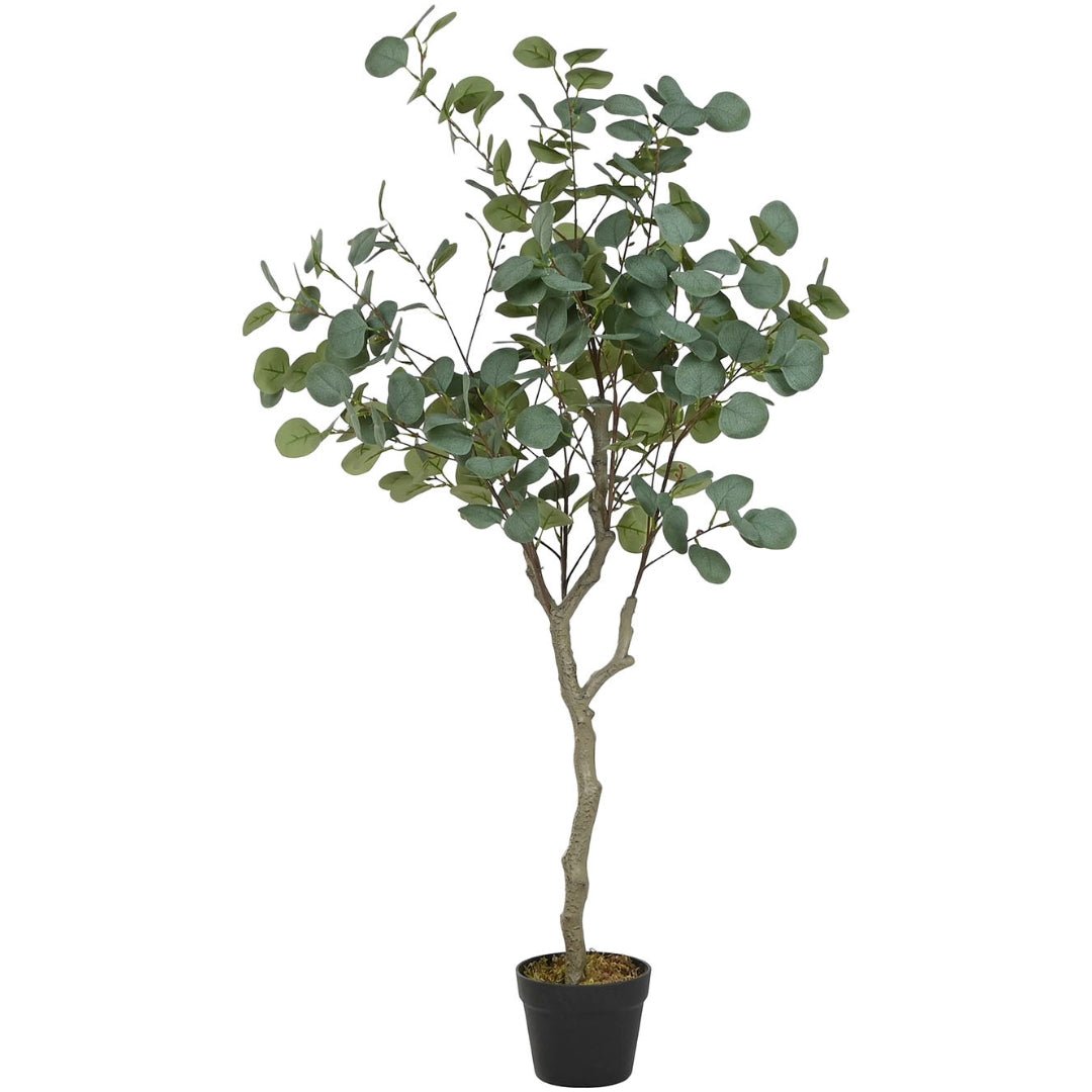 Eucalyptus Plant 150cm - LUXONAS