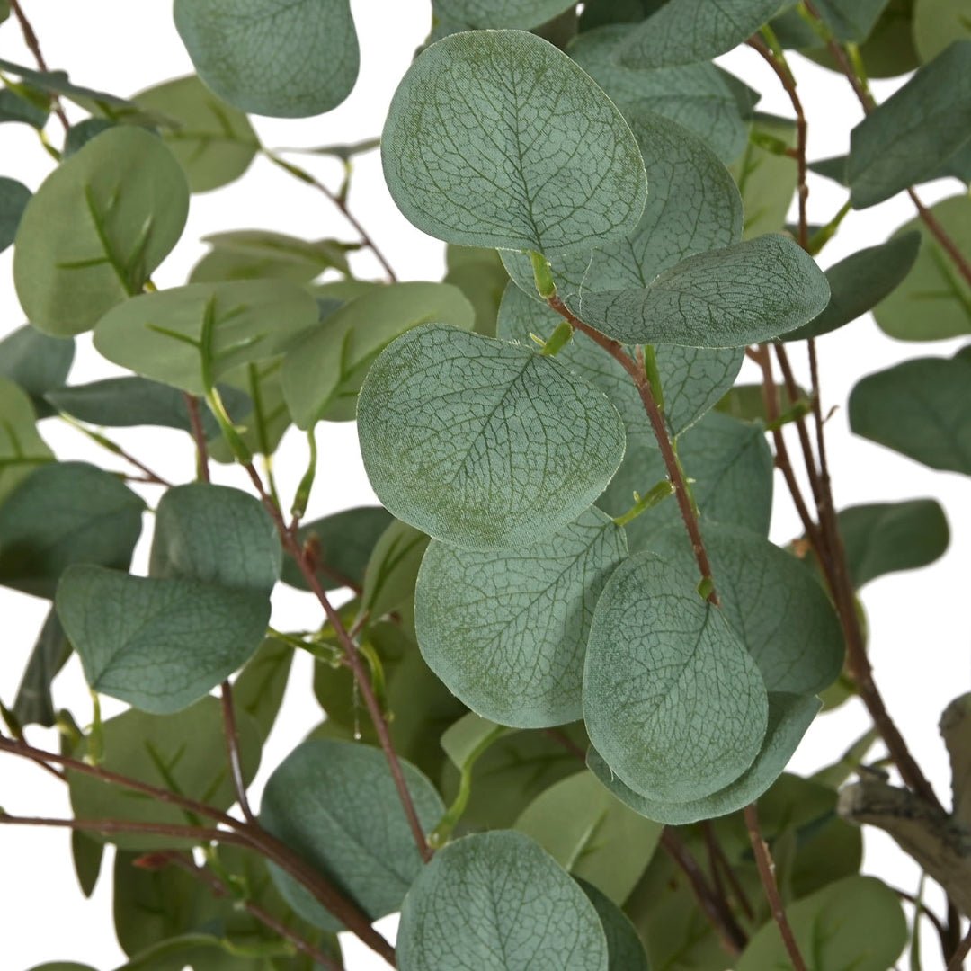 Eucalyptus Plant 150cm - LUXONAS