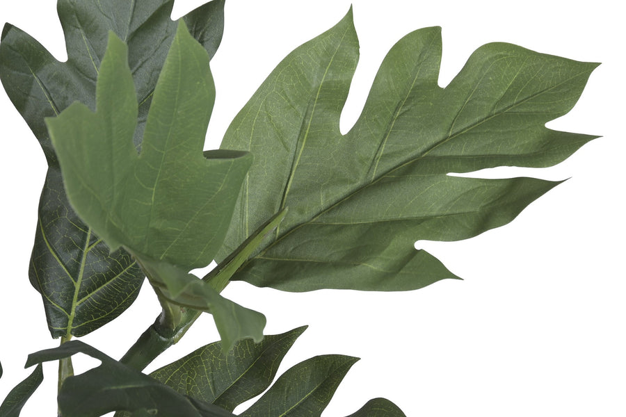 Faux Breadfruit Plant — 185 cm