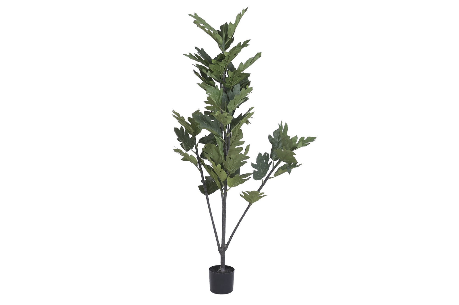 Faux Breadfruit Plant — 185 cm