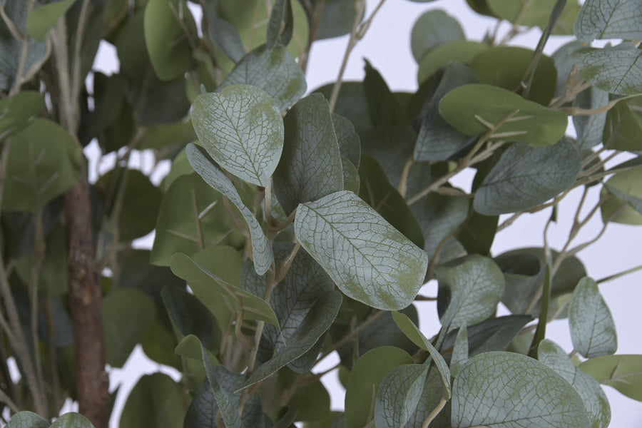 Faux Eucalyptus Tree 183 cm