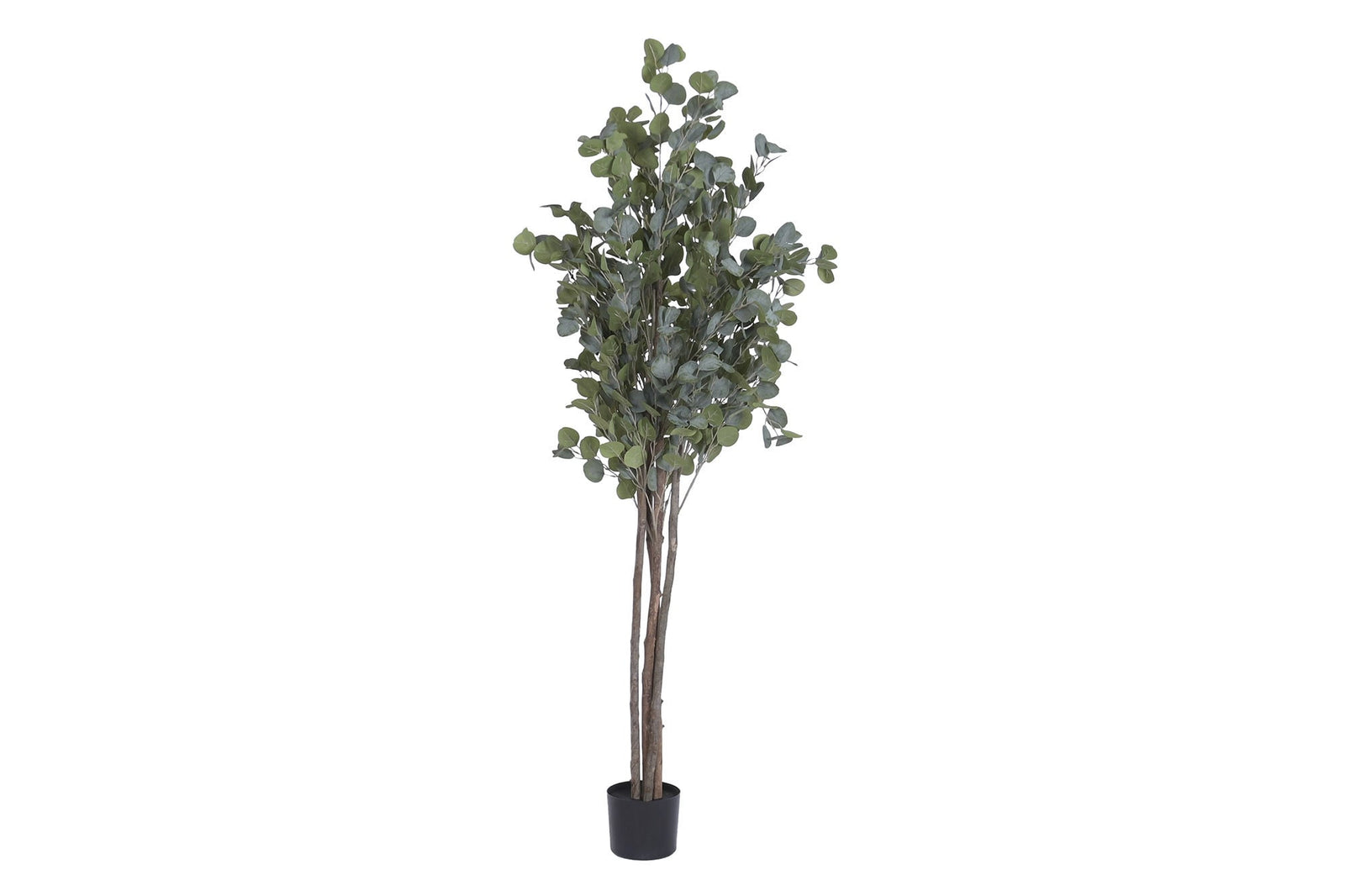 Faux Eucalyptus Tree 183 cm