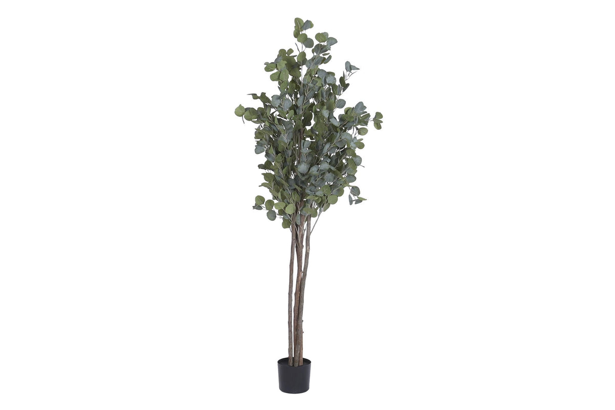 Faux Eucalyptus Tree 183 cm