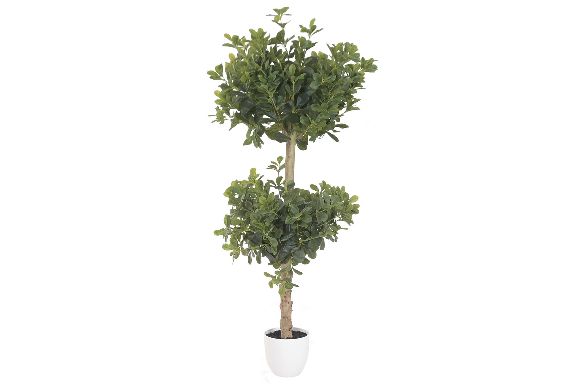 Faux Ficus Tree in Cement Pot 140 cm