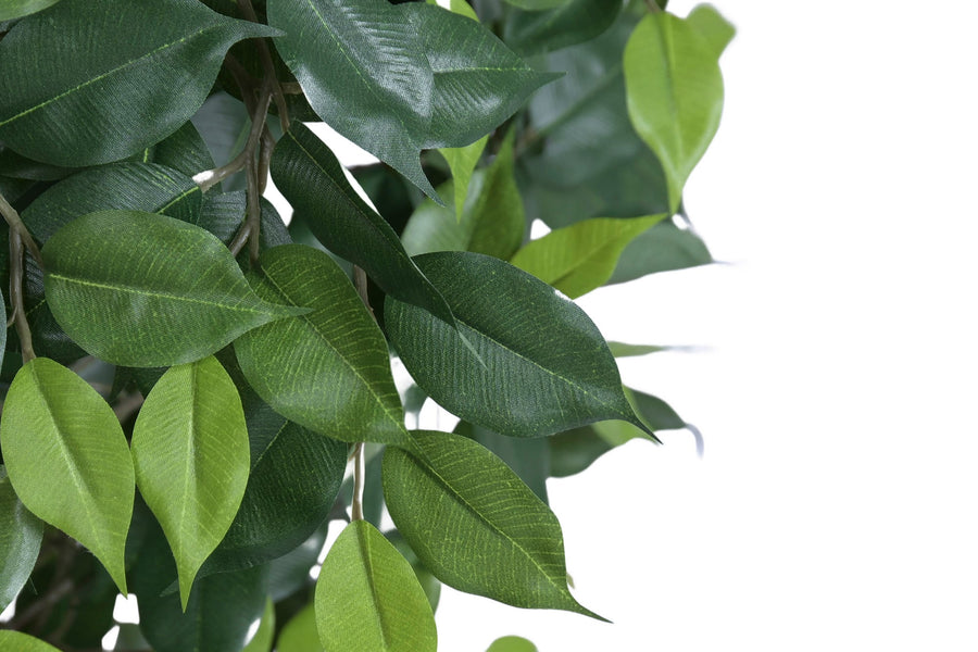 Faux Fig Tree with Wood Trunk 187 cm