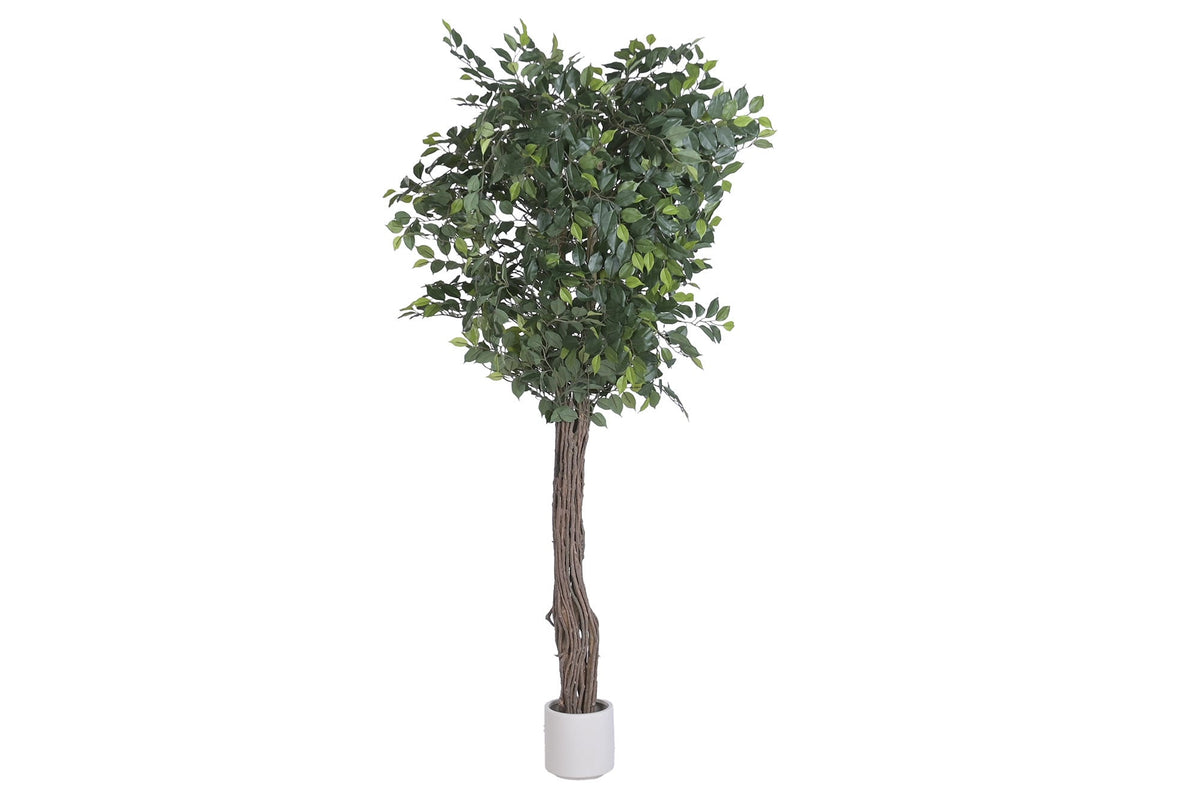 Faux Fig Tree with Wood Trunk 187 cm