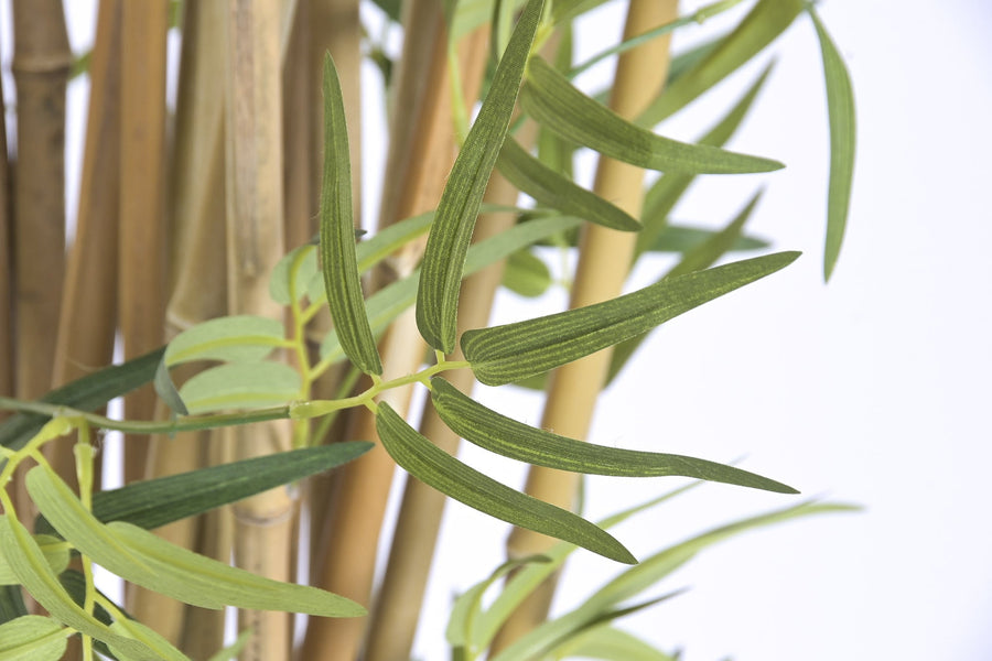 Faux Foliage Plant with Wood Trunk  210 cm