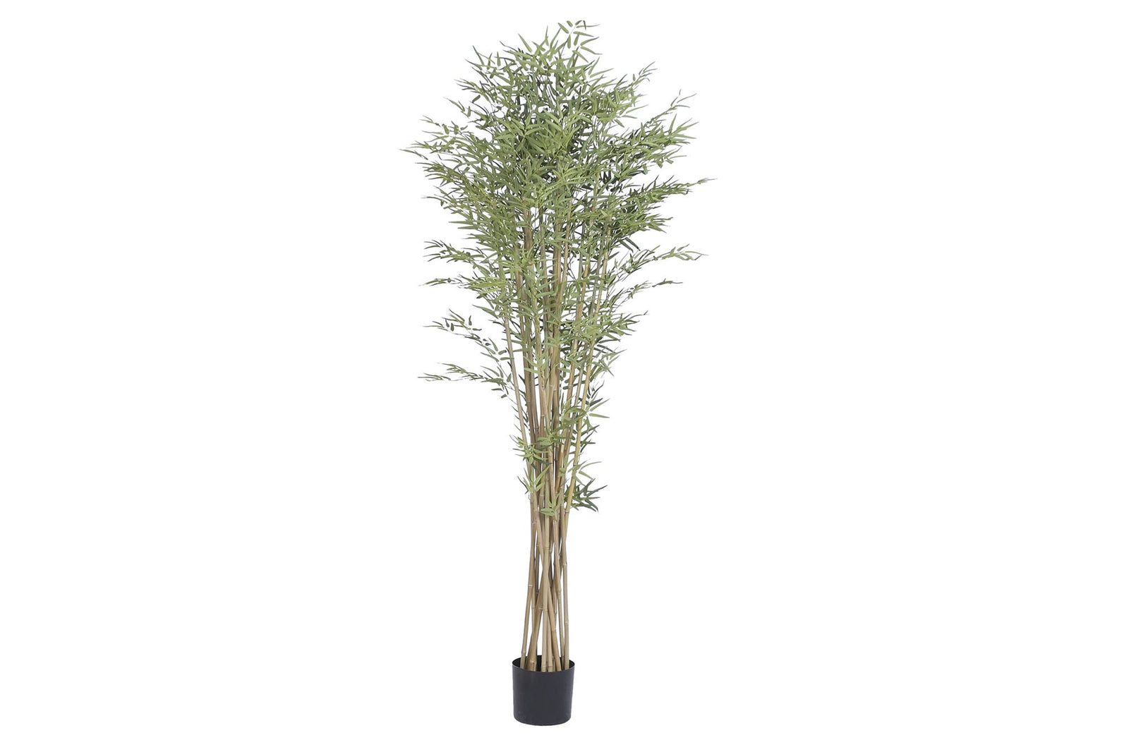 Faux Foliage Plant with Wood Trunk  210 cm