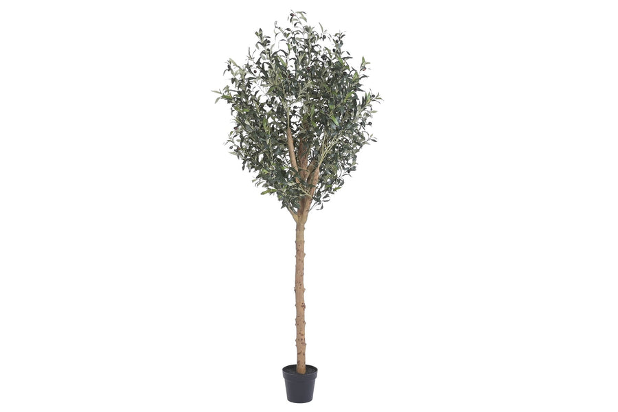Faux Olive Tree, Full 220 cm