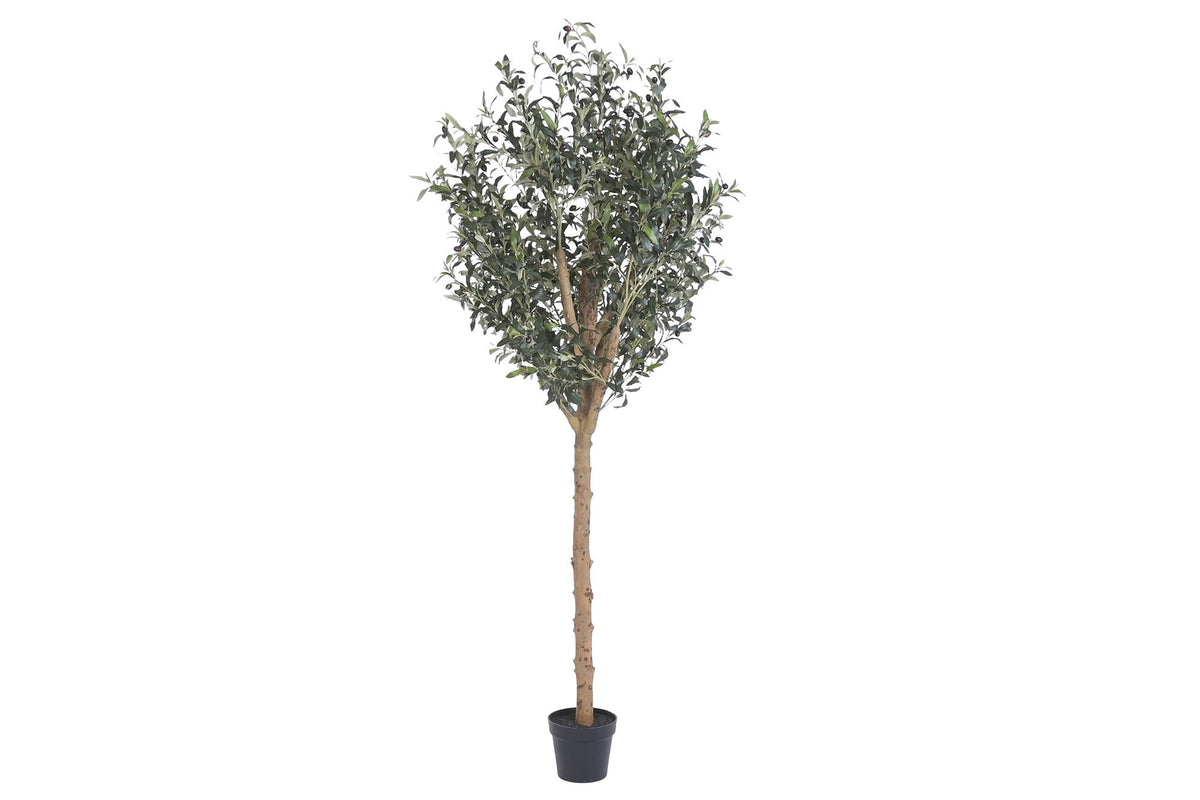 Faux Olive Tree, Full 220 cm