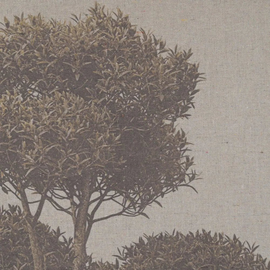 Forest Wall Art Picture