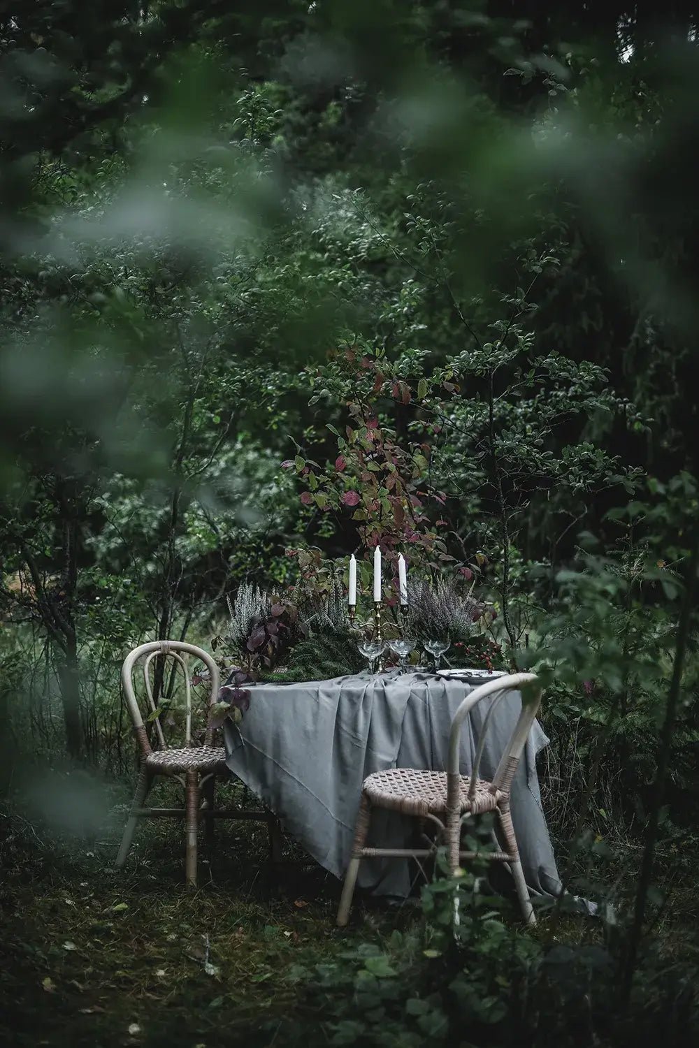 From Oven to Table Book - LUXONAS