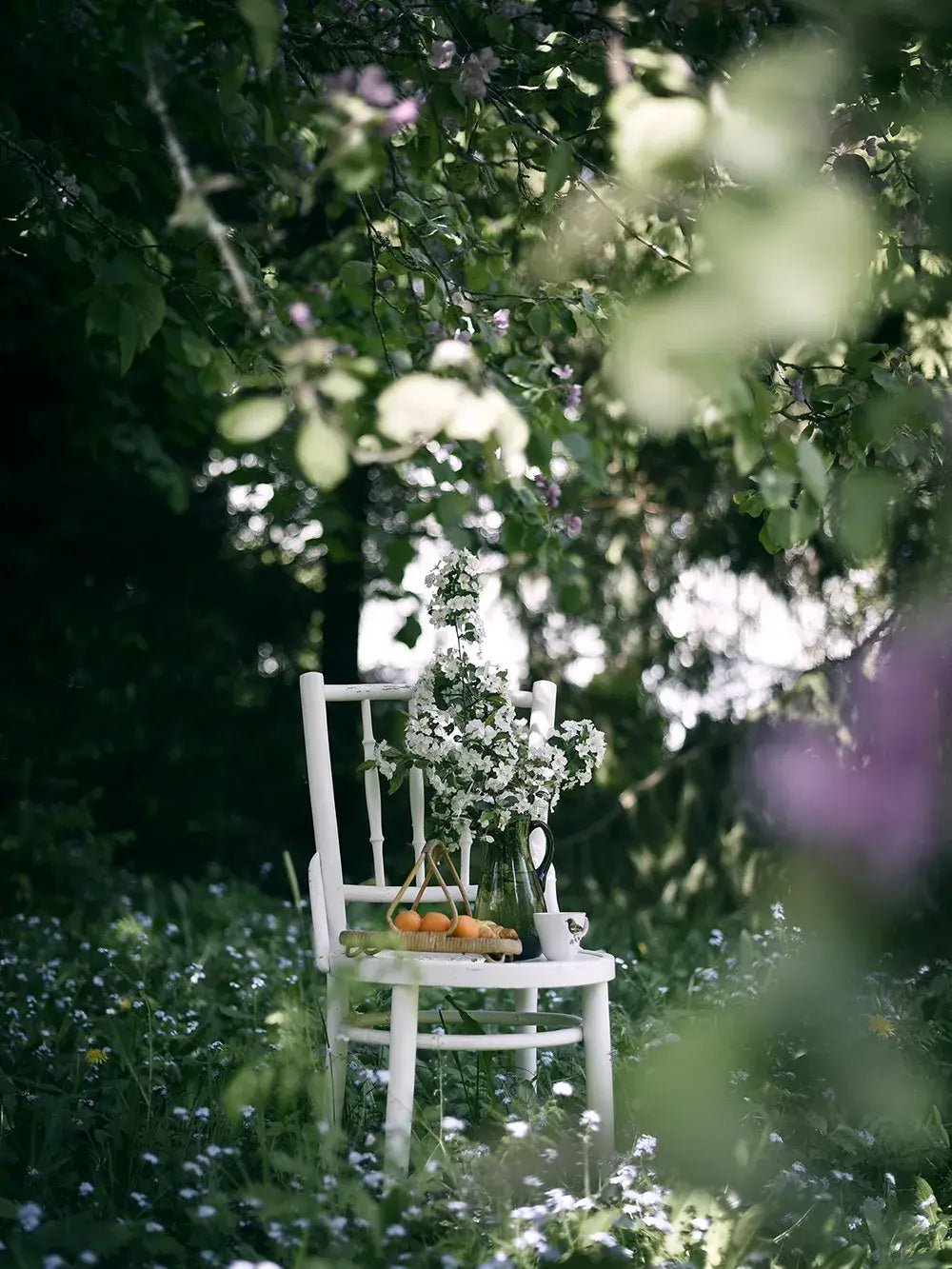 From Oven to Table Book - LUXONAS