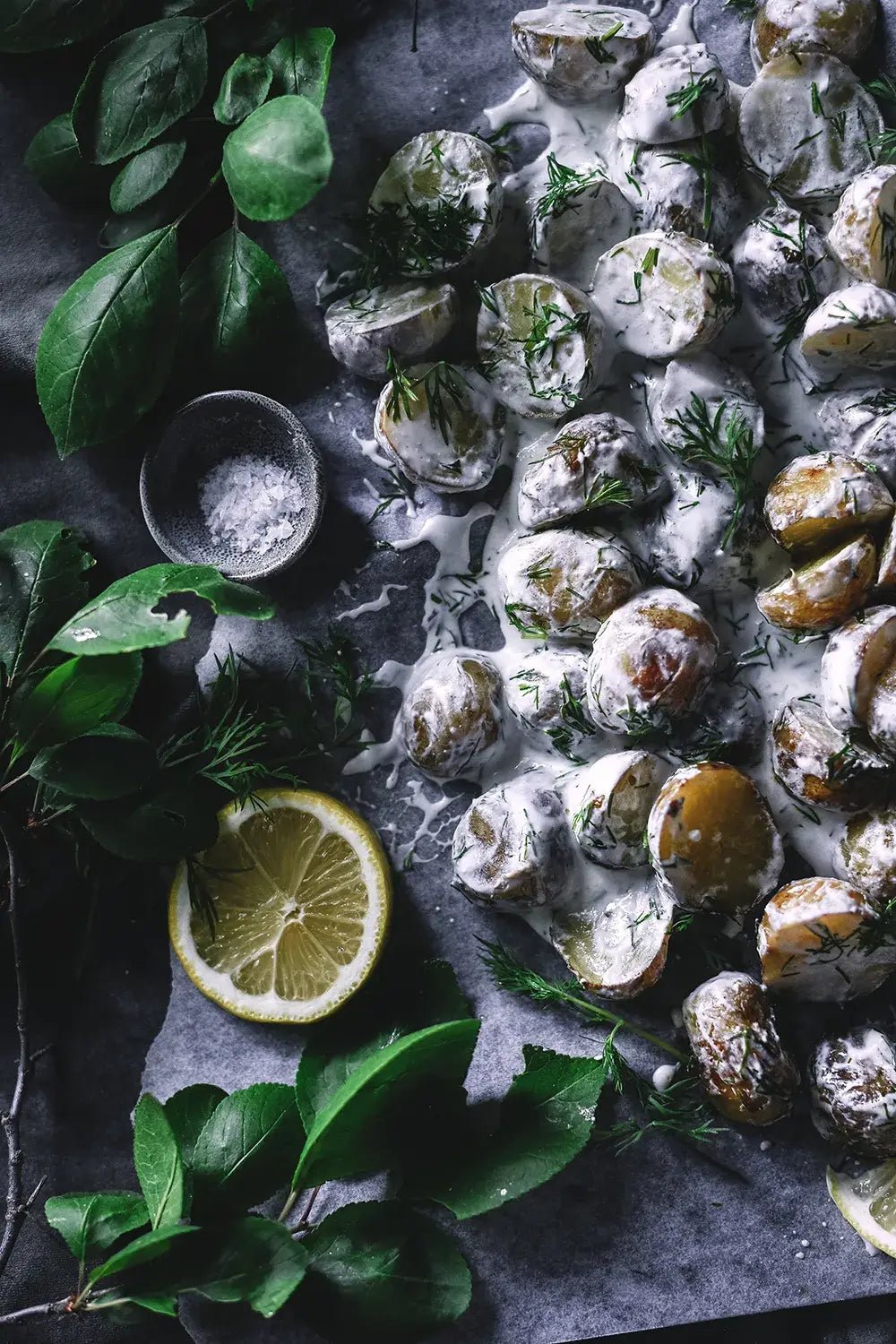 From Oven to Table Book - LUXONAS