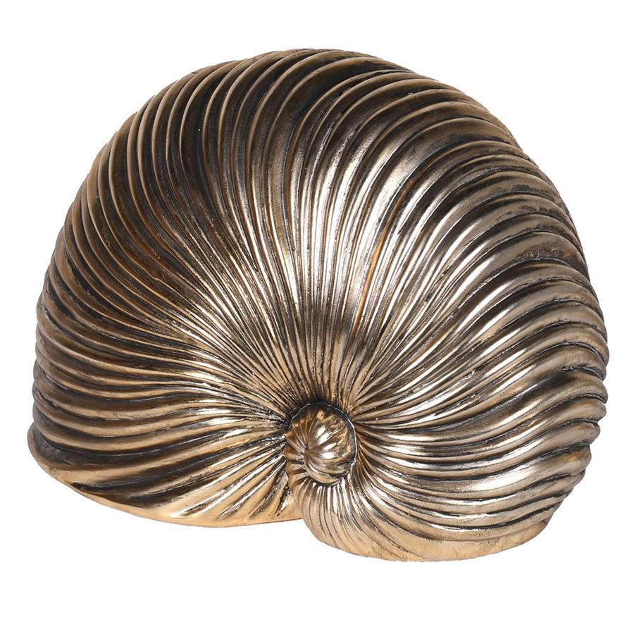 Gold Sea Snail Decorative Accent