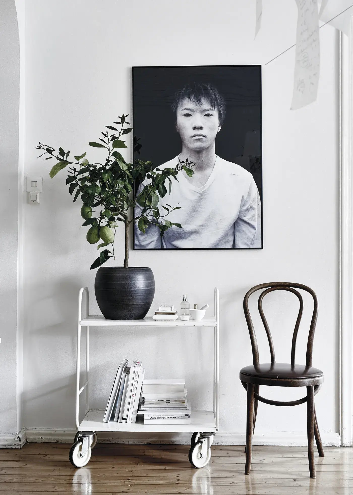 Green Home Book - LUXONAS