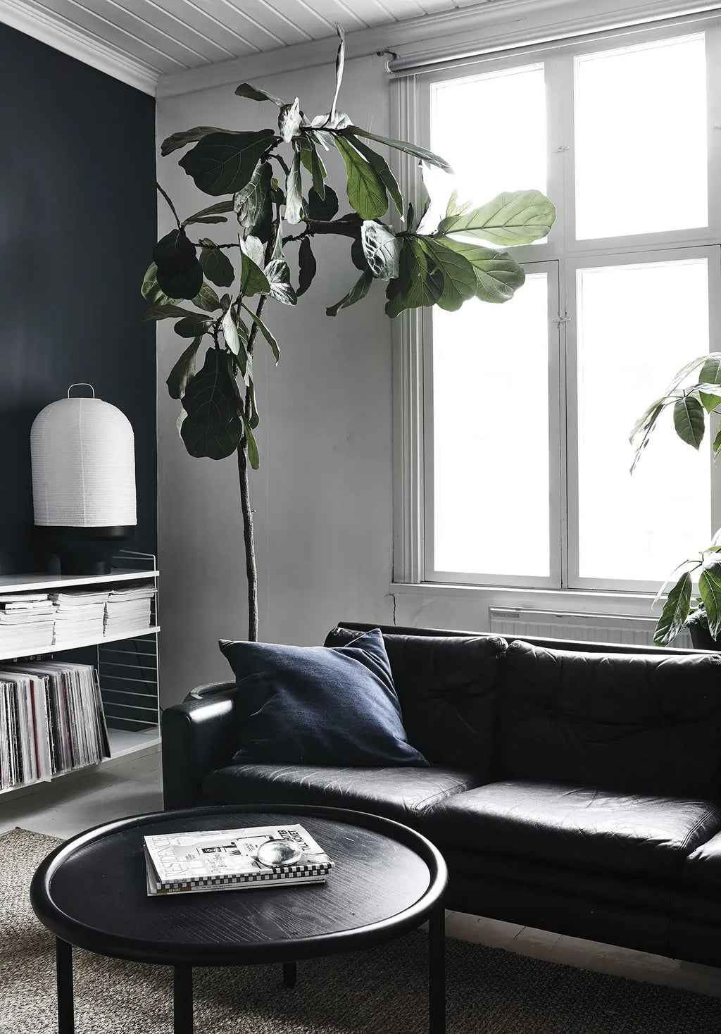 Green Home Book - LUXONAS