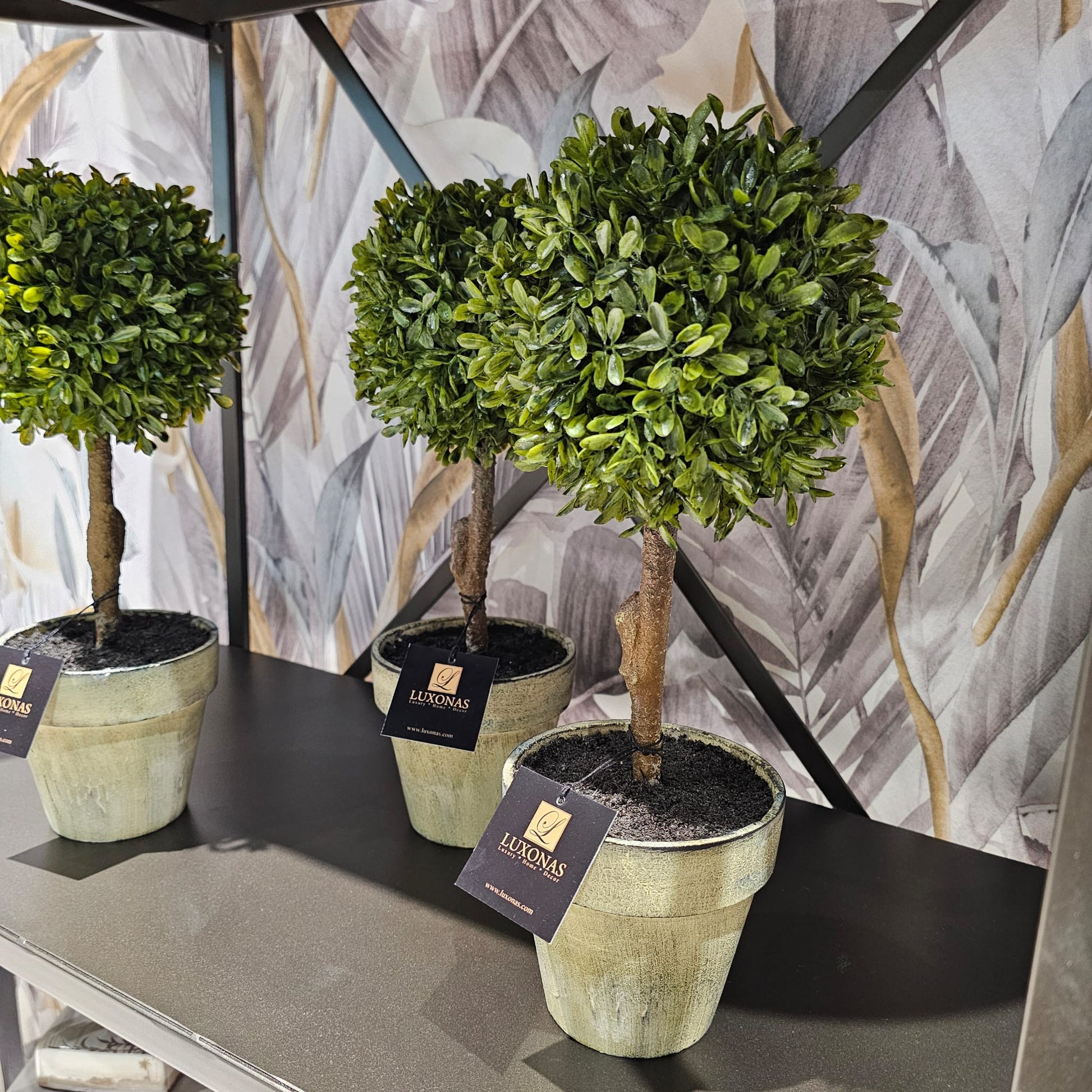 Green Miniature Boxwood Ball in Brown Pot - LUXONAS