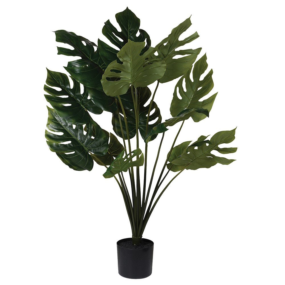 Faux Green Monstera Plant - 105 cm in Black Pot