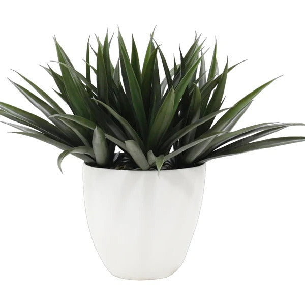 Green Plant Pot