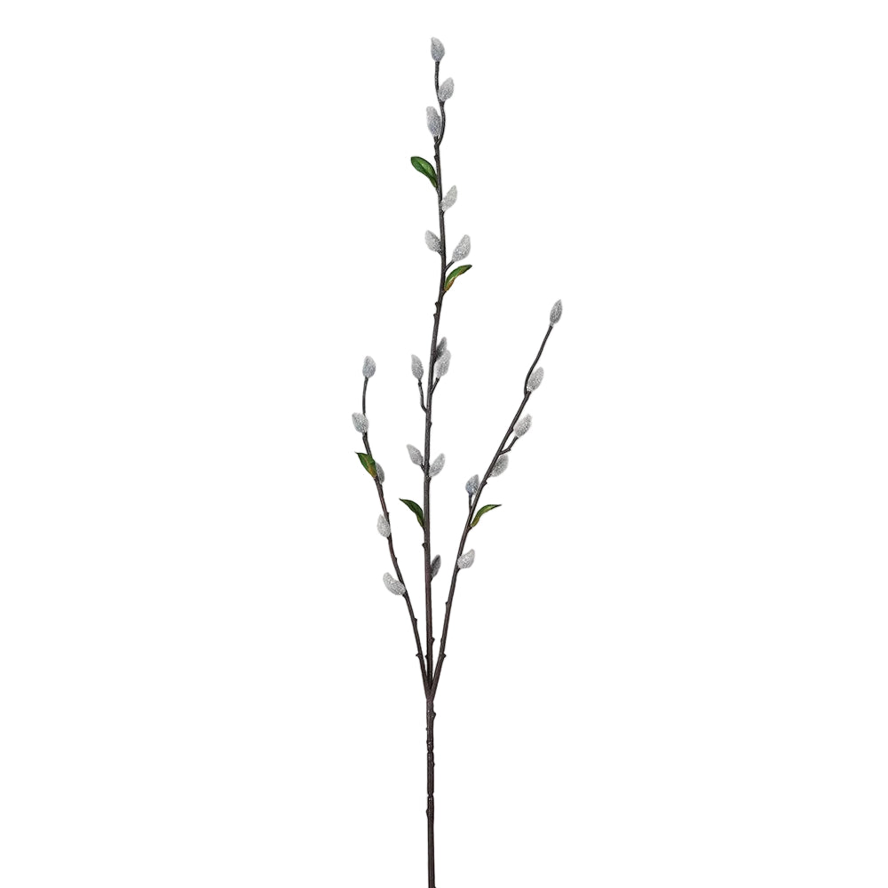 Grey Pussy Willow Spray with Leaves