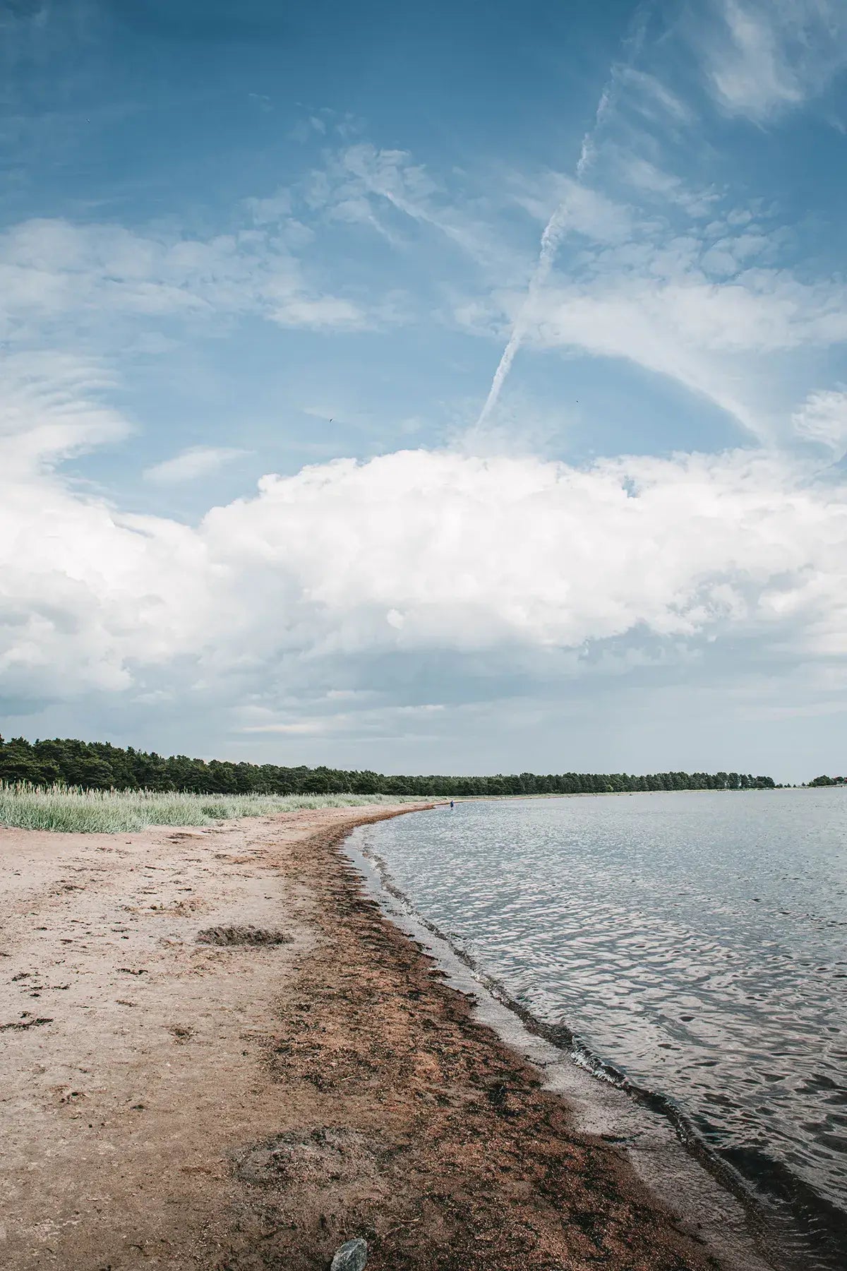 Home Made - Secrets To Timeless Interiors - LUXONAS