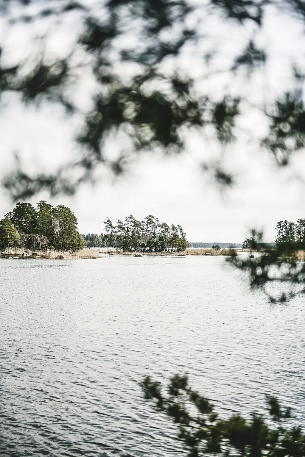 Home Made - Secrets To Timeless Interiors - LUXONAS