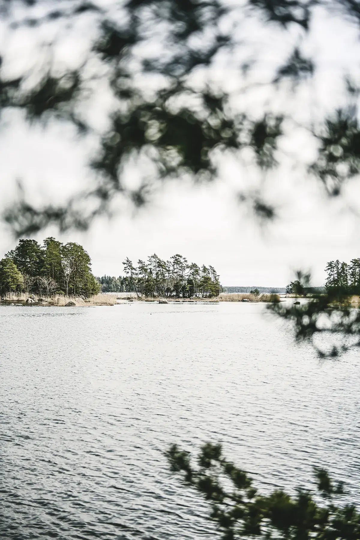 Home Made - Secrets To Timeless Interiors - LUXONAS