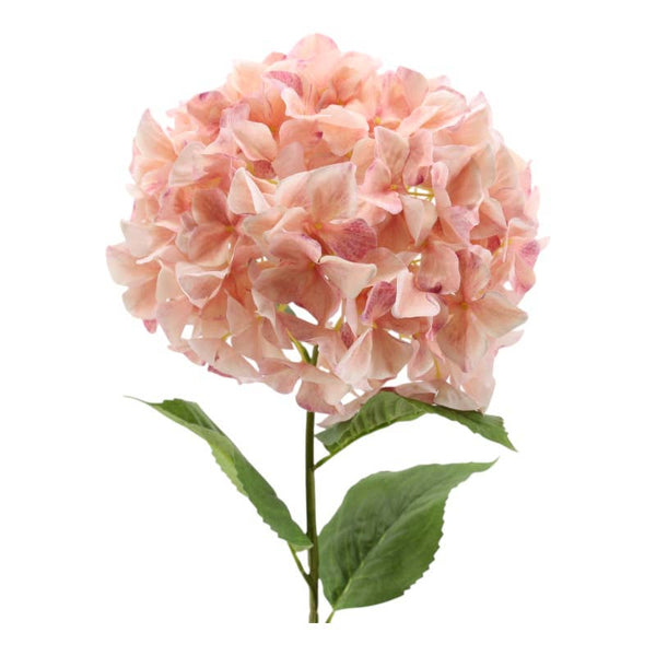 Hydrangea 30 x 95 cm Pink