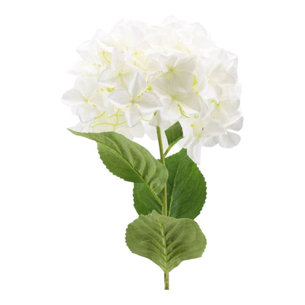 Hydrangea 30 x 95 cm White