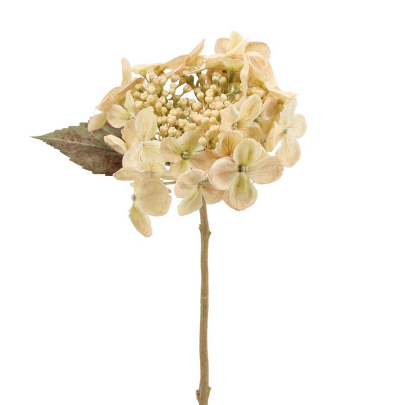 Hydrangea 45 cm Cream - LUXONAS HOME