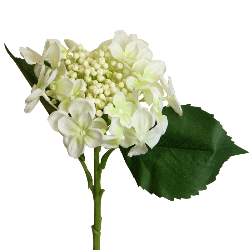 Hydrangea with buds, 45 cm, cream - LUXONAS HOME