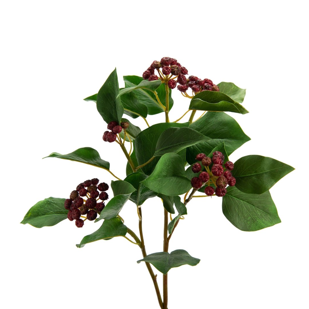 Japanese Laurel Stem 55cm - Elegant Evergreen Decor