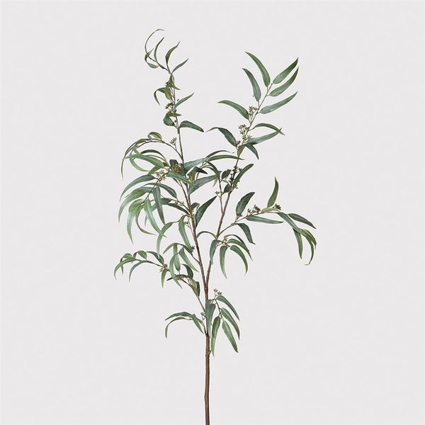 Large Willow Eucalyptus Branch - 165 cm