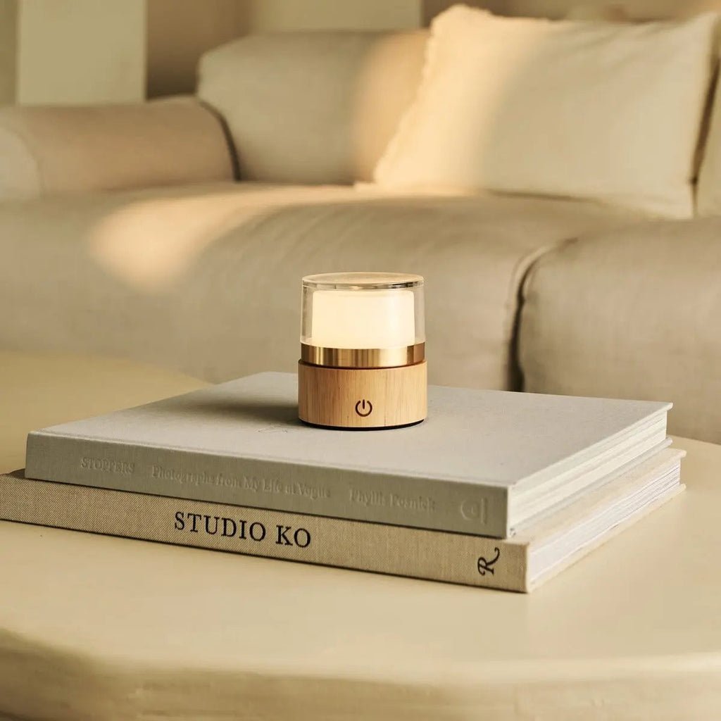Leo Light Brown Wireless Rechargeable Lamp | Compact, Dimmable & USB Rechargeable - LUXONAS HOME